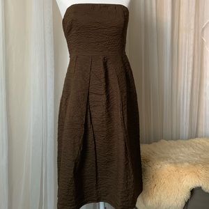 ☕️☕️ J Crew Strapless Dress